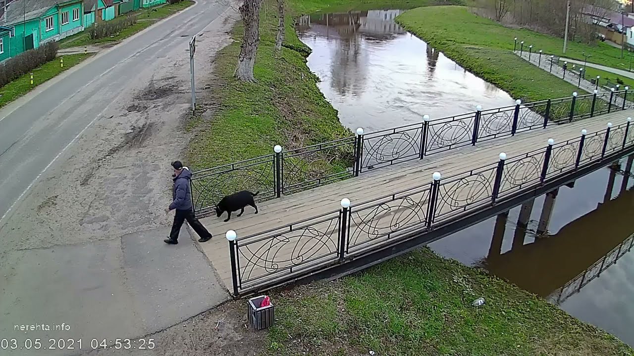 Нерехта утиный мост Нерехта утиный мост